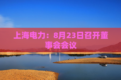 上海电力：8月23日召开董事会会议