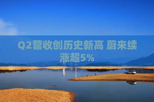 Q2营收创历史新高 蔚来续涨超5%