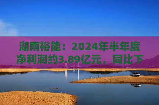 湖南裕能：2024年半年度净利润约3.89亿元，同比下降68.57%