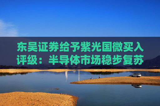 东吴证券给予紫光国微买入评级：半导体市场稳步复苏，业绩有望持续增长