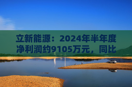 立新能源：2024年半年度净利润约9105万元，同比下降8.98%