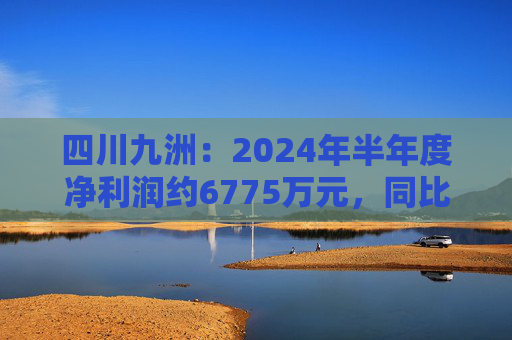 四川九洲：2024年半年度净利润约6775万元，同比下降20.76%