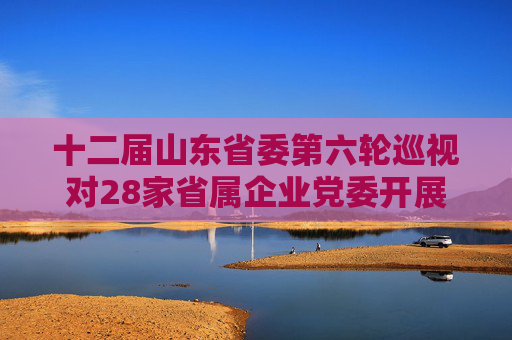 十二届山东省委第六轮巡视对28家省属企业党委开展常规巡视