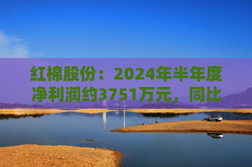 红棉股份：2024年半年度净利润约3751万元，同比增加170.31%