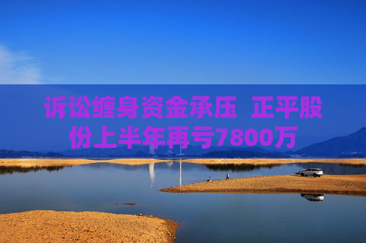 诉讼缠身资金承压  正平股份上半年再亏7800万