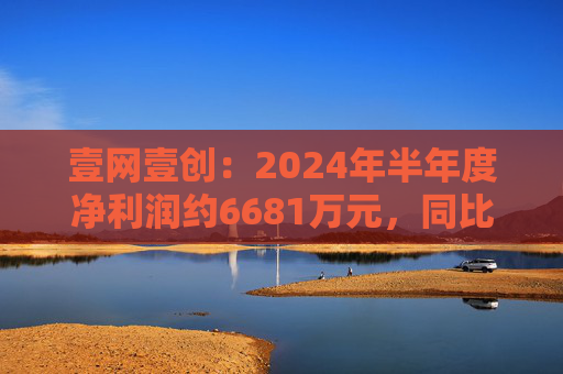 壹网壹创：2024年半年度净利润约6681万元，同比下降23.18%