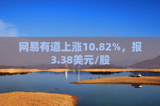 网易有道上涨10.82%，报3.38美元/股