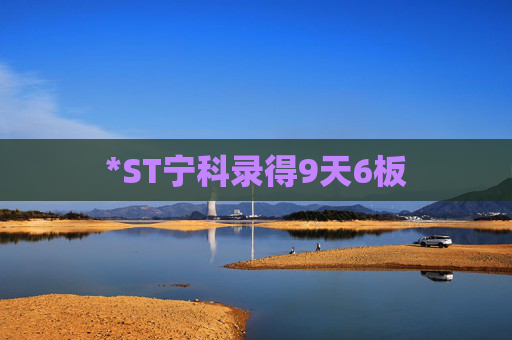 *ST宁科录得9天6板