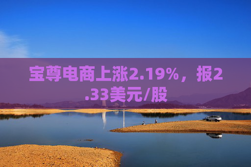 宝尊电商上涨2.19%，报2.33美元/股