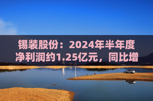 锡装股份：2024年半年度净利润约1.25亿元，同比增加23.33%