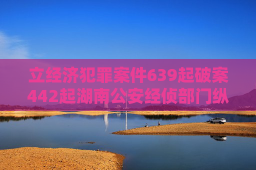 立经济犯罪案件639起破案442起湖南公安经侦部门纵深推进夏季治安打击整治行动