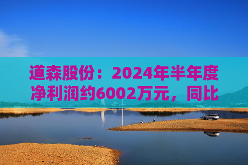 道森股份：2024年半年度净利润约6002万元，同比增加21.31%