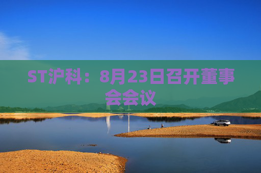 ST沪科：8月23日召开董事会会议