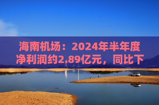 海南机场：2024年半年度净利润约2.89亿元，同比下降50.35%