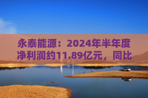 永泰能源：2024年半年度净利润约11.89亿元，同比增加17.45%