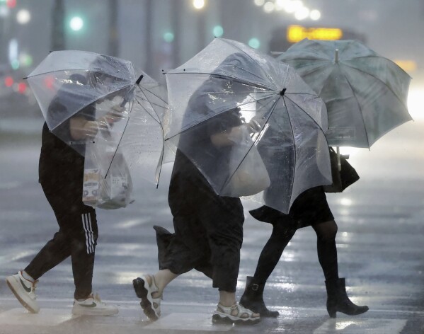 台风给日本带来了暴雨和强风，并缓慢向北移动